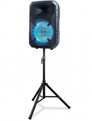 ION Party Speaker